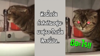 รวมคลิปตลกๆ : คนมันหิวอะไรก็ฉุดไม่อยู่!!