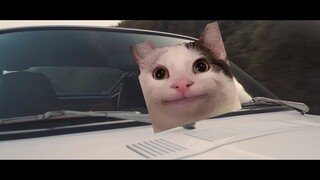 [Beluga dan teman-temannya | Edisi Khusus] Empat hal emosional seputar saya mengurus SIM.....