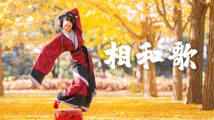 【相和歌】汉唐曲裾｜愿许秋风知我意，散我心中意难平【今年十一】