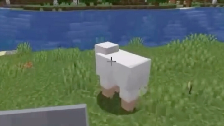 Minecraft: When U.S. Police Officers Play Games After Work