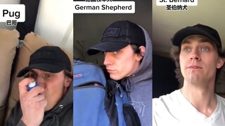 不同品种的狗子变成人了会是什么样的P2