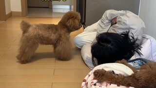 当我突然睡在小狗的窝窝里，它会有怎样反应？