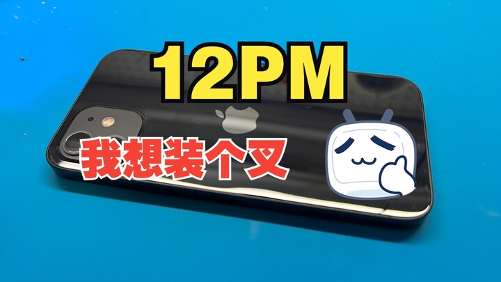 12 Pro Max: Replaced Glass