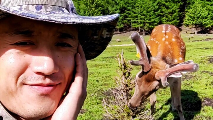 นี่คือของขวัญสุดพิเศษสำหรับวันพ่อ