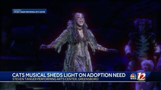 "CATS" opens at the Tanger Center