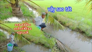 Ra Đồng tát vũng kiếm cá và cái kết