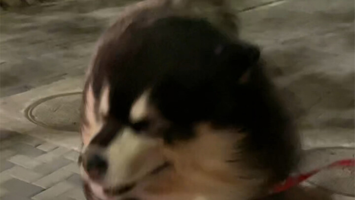 Bắc Kinh phát cảnh báo gió vàng: Cơn gió nhỏ thôi mà, buồn cười thật!