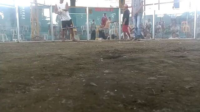 anayan pili cam sur white hatch win