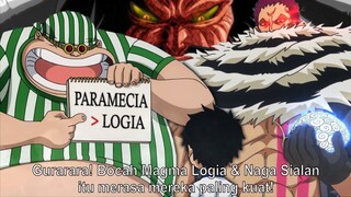 BUAH IBLIS TERKUAT ADALAH PARAMECIA! LEBIH HEBAT DARI LOGIA & ZOAN? - One Piece 1027+ (Teori)