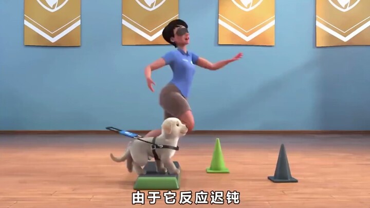 This flawed little dog went to incredible lengths just to become a guide dog!