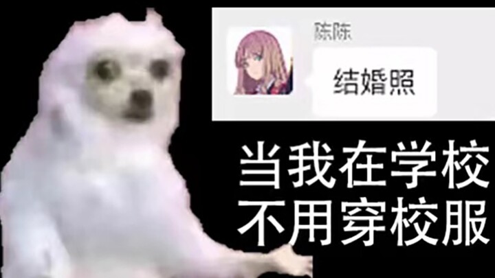 I don't have to wear a uniform when I'm in school! [Zhang Yong's phone]