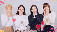 终于来了,看到新鲜的BLACKPINK,独家新年问候来袭