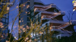 Lá Chắn Miễn Dịch - Tập 10 END