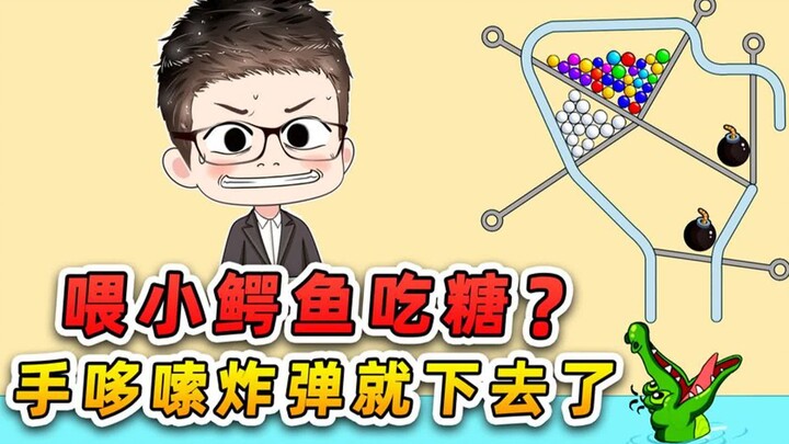 喂小鳄鱼吃糖？我手一哆嗦，把炸弹塞它嘴里了
