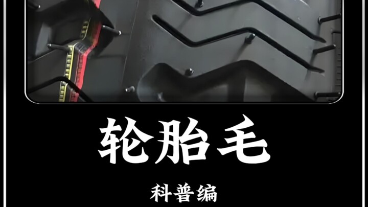 Apa fungsi bulu-bulu pada ban?