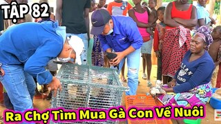 (Tập 82) Nông Nghiệp VIỆT NAM ở Châu Phi || Đột Nhập Chợ ở Châu Phi Tìm Gà Con Phục Vụ Cho Chăn Nuôi