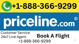 Fast Full List of Priceli𝕟e℗ USA-Based Toll-Free™️ Numbers: Full Support & Contact Guide