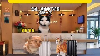 هذه الأرض تتذكر فلا تسامح أبدا
