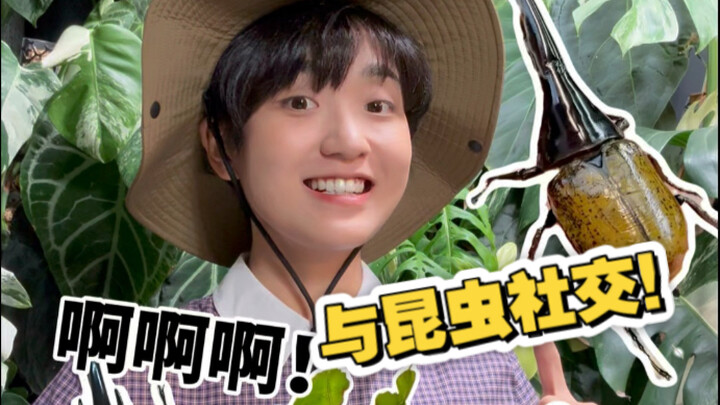 Kalau Mama nggak boleh pelihara hewan, coba aja belalang bambu (jangan bilang aku yang kasih tahu)!