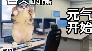 【Cat meme】Daily life in the emergency psychiatric department - Lover