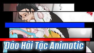 Tù Nhân Của Tình Yêu | Đảo Hải Tặc Animatic