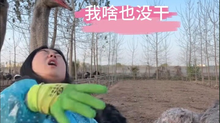 Today's main topic is a request that will be answered