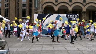 【文艺复兴】大学生们试着跳了幸运星OP「拿去吧！水手服」
