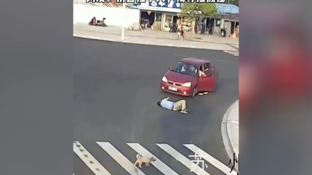 Chó con: Coi chừng an toàn nhé, sư phụ