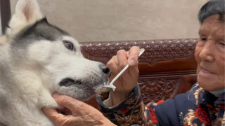 Cinta nenek terlalu berat