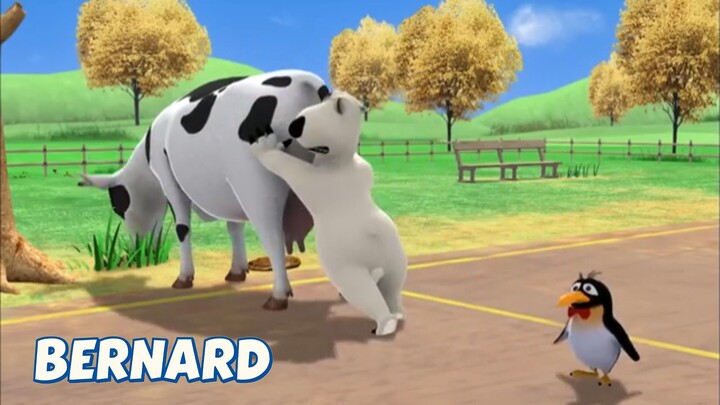 BERNARD BEAR || PELOTA COURT - CARTOON CHILDREN