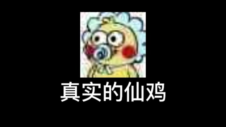ไหนๆ ก็ย่อตัวลงแล้ว ก็มาดูซีรีส์เซียนไก่สักตอนหนึ่งเถอะ!
