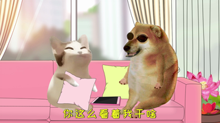 男生女生每天都在想什么
