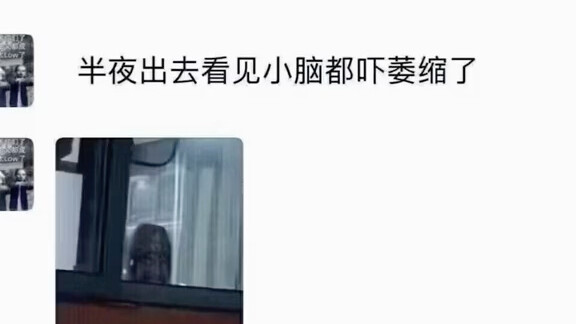 Tiểu não đã bị teo