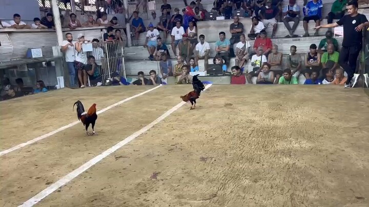 MARIKINA 1ST FIGHT DRAW