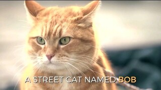 ฉากปิดของภาพยนตร์เรื่อง "Bob the Stray Cat"