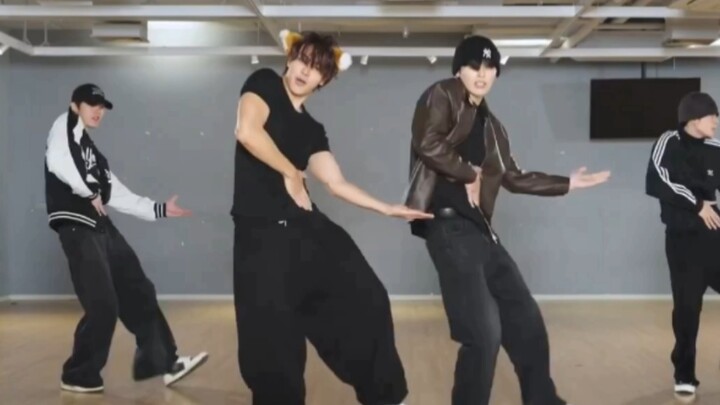 JASPER—Touch Practice Version. You can tell everyone’s been up to something, like wearing those dog 