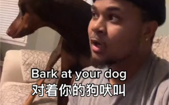 “ในเสี้ยววินาที หมาก็ไม่รู้ว่าใครคือหมาแล้ว”