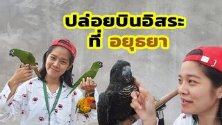 ปล่อยนกบินอิสระที่อยุธยา EP.33