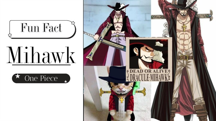 fun fact mihawkkkk
