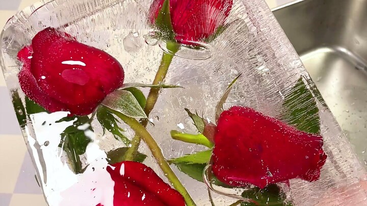 กุหลาบแช่แข็งสำเร็จรูปมาแล้ว! สวยจนตะลึงเลย!! หลงรักสุดๆ!!