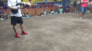 second five twin naunahan pa...suwerti lng