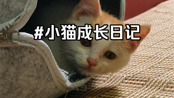 When I first picked him up, people told me to just leave him alone. But in the blink of an eye, he’s