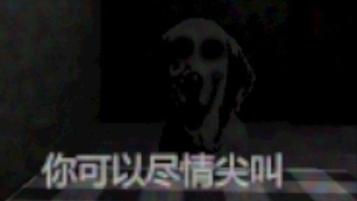 Is setting off firecrackers really that fun?!