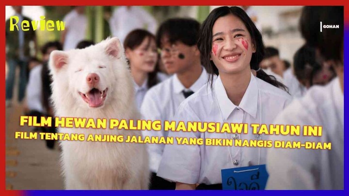 FILM GOHAN BUKAN SEKADAR FILM ANJING, INI TENTANG KESEPIAN