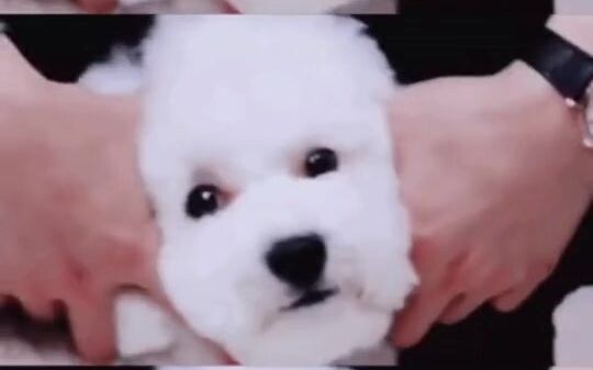 vivi: Ngô Thế Huân, cuối cùng tôi đã nhìn rõ con người thật của anh rồi! Tôi đau lòng quá!