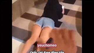 chiếc pet đáng tin🤣