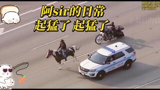 Thưa ông, việc một con ngựa đi bộ trên đường mỗi ngày là chuyện bình thường.