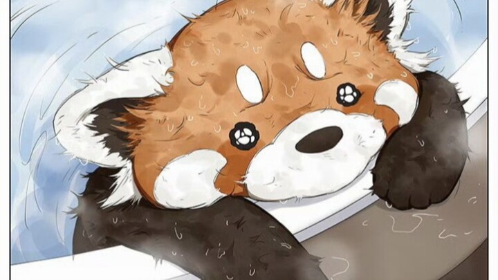 Please call me Red Panda