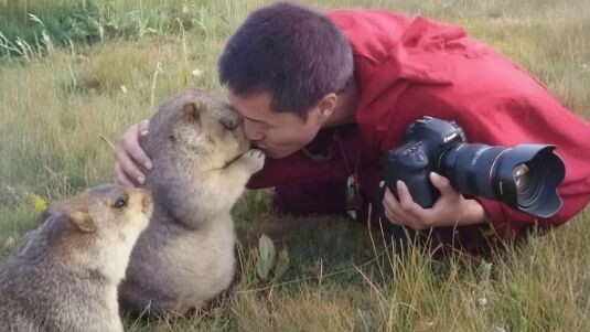When wild animals willingly approach the photographer, the scenes are downright unbearably sweet!