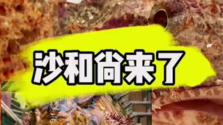 The Monk Sha is back